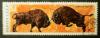 USSR_stamp_1969_10k_European_Bisons_a.jpg.JPG