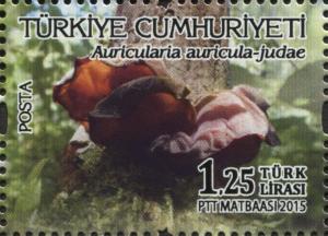 Colnect-3052-202-Mushrooms---Auricularia-auricularia-judae.jpg