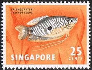 Colnect-5110-506-Three-spotted-Gourami-Trichogaster-trichopterus.jpg