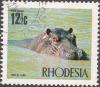 Colnect-2032-446-Hippopotamus-Hippopotamus-amphibius.jpg