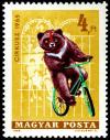 Colnect-5542-915-Circus---Bear-on-bicycle.jpg