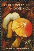 Colnect-3016-432-Russula-matoubenis.jpg