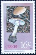 Colnect-3343-617-Poisonous-mushrooms-Amanita-phalloides.jpg