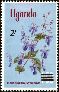 Colnect-4010-716-Butterfly-Bush-Clerodendrum-myricoides.jpg