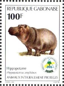 Colnect-2800-838-Hippopotamus-Hippopotamus-amphibius.jpg