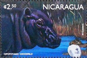 Colnect-1388-469-Hippopotamus-Hippopotamus-amphibius.jpg