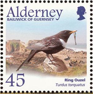 Colnect-1698-117-Ring-Ousel-Turdus-torquatus.jpg