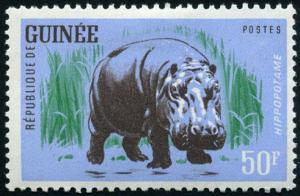 Colnect-540-637-Hippopotamus-Hippopotamus-amphibius.jpg