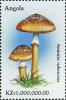 Colnect-2979-954-Blusher-Mushroom-Amanita-rubescens.jpg