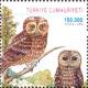 Colnect-776-048-Boreal-Owl%C2%A0Aegolius-funereus-Tawny-Owl-Strix-aluco.jpg