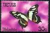 Colnect-2159-895-Malachite-Butterfly-Siproeta-stelenes.jpg