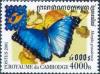 Colnect-733-332-Blue-Morpho-Butterfly-Morpho-granadensis.jpg