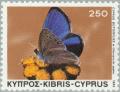 Colnect-175-549-Paphos-Blue-Butterfly-Glaucopsyche-paphos.jpg