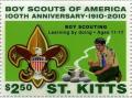 Colnect-6303-951-Scouts-in-America-Cent.jpg
