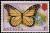 Colnect-2361-772-Monarch-Butterfly-Danaus-plexippus.jpg