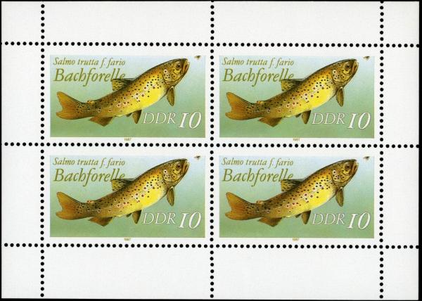 Colnect-1982-831-Brown-Trout-Salmo-trutta-f-fario-.jpg
