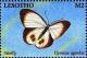 Colnect-5964-998-Palmfly-Butterfly-Elymnias-agondas.jpg
