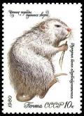 Colnect-836-539-Coypu-Myocastor-coypus.jpg