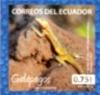 Colnect-3553-409-San-Cristobal-Lava-Lizard-Microlophus-bivittatus.jpg