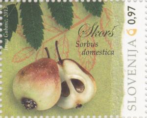 Colnect-2834-271-Fruit-varieties-in-Slovenia.jpg