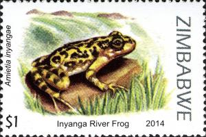 Colnect-3049-995-Inyanga-River-Frog-Amietia-inyangae.jpg