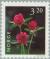 Colnect-162-548-Red-Clover-Trifolium-pratense.jpg