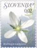 Colnect-2694-629-Flowers-of-Slovenia---Moehringia-tommasinii.jpg