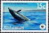 Colnect-4135-003-Blaineville-s-beaked-whales.jpg