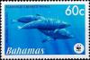 Colnect-4135-006-Blaineville-s-beaked-whales.jpg