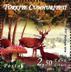 Colnect-2508-157-Red-Deer-Cervus-elaphus---Kure-Mountains.jpg