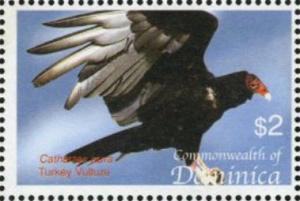 Colnect-3202-258-Turkey-Vulture-Cathartes-aura.jpg