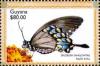 Colnect-3460-490-Spicebush-swallowtail-Papilio-troilus.jpg