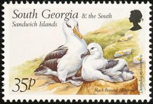 Colnect-4202-726-1999-Birds---Black-browed-Albatross-Thalassarche-melanophri.jpg