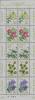 Colnect-4031-951-Mini-Sheet-Flowers-of-the-Hometown---1---2-2.jpg