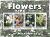 Colnect-5694-353-Flowers-of-Micronesia.jpg