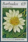 Colnect-1109-959-White-water-lily.jpg