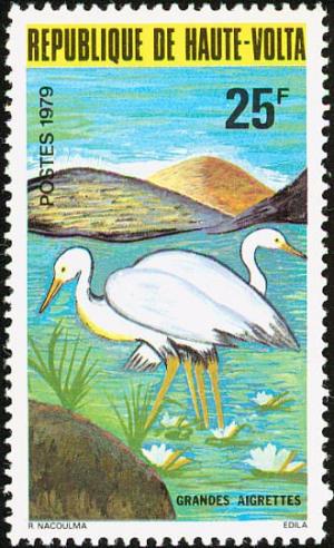 Colnect-1750-137-Great-White-Egret-Ardea-alba.jpg