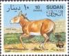 Colnect-2554-701-African-Wild-Ass-Equus-africanus.jpg