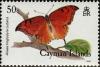 Colnect-5671-251-Florida-Leafwing-Anaea-troglodyta-cubana.jpg