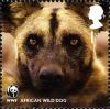 Colnect-911-037-African-Wild-Dog-Lycaon-pictus.jpg