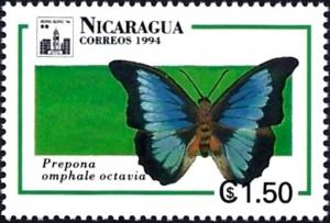 Colnect-2221-870-Shaded-Blue-Leafwing-Prepona-omphale-ssp-octavia.jpg