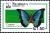 Colnect-2221-870-Shaded-Blue-Leafwing-Prepona-omphale-ssp-octavia.jpg