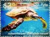 Colnect-6317-474-Hawksbill-sea-turtle.jpg