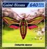 Colnect-5980-371-Elephant-Hawk-moth-Deilephila-elpenor.jpg