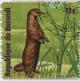 Colnect-1324-114-African-Clawless-Otter-Aonyx-capensis.jpg