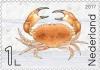 Colnect-4156-965-Brown-crab-in-the-surf.jpg
