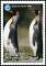 Colnect-5217-135-Two-adult-penguins.jpg