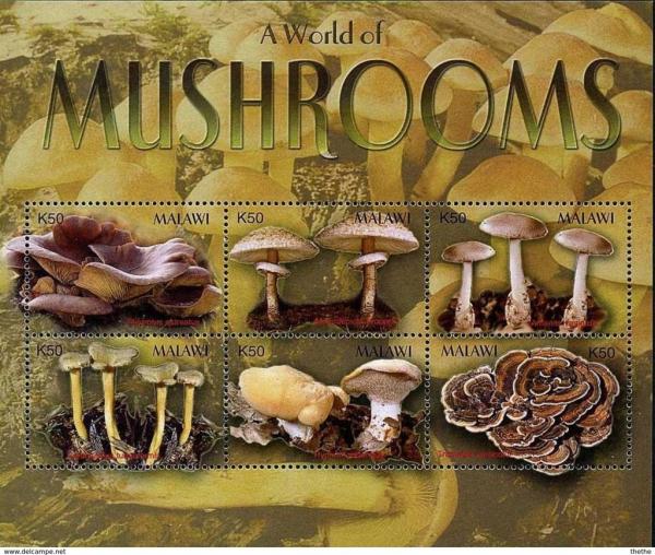 Colnect-4472-214-A-World-of-Mushrooms.jpg