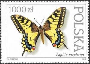 Colnect-4701-531-Swallowtail-Papilio-machaon.jpg