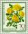 Colnect-140-641-Persian-Yellow-Rose-Rosa-foetida-persiana.jpg